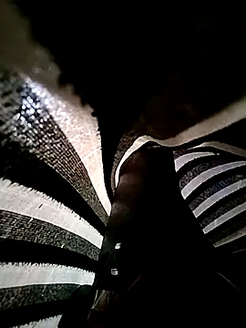 Rohit-desi online show from 6, 11, 2025