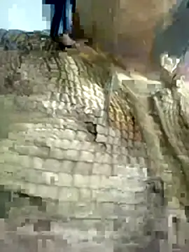 Snapshot of Nishi-3 chatting on 17, 1, 2026 Nishi-3 online show from 17, 1, 2026