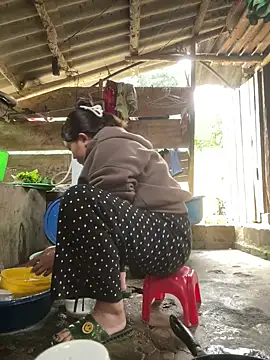 Dilen 7533 online show from 20, 11, 2025