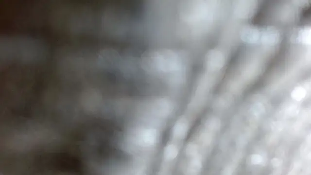 Snapshot of the_breasts_of_desir_ chatting on 24, 11, 2025 the breasts of desir online show from 24, 11, 2025