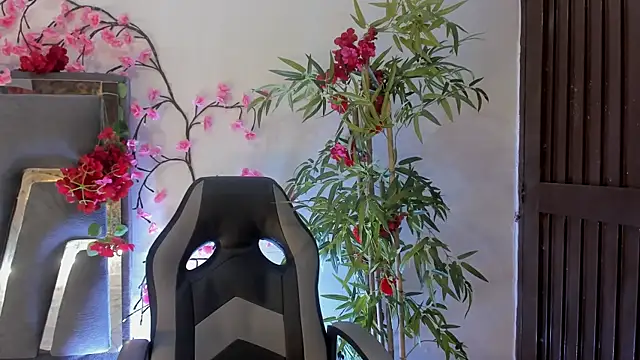 DanfneTorres online show from 19, 11, 2025