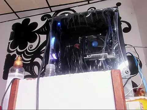 couple-hothot online show from 13, 12, 2025