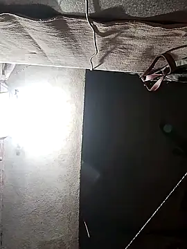 ZANUUA online show from 20, 11, 2025