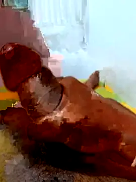 Snapshot of crazy_boy55 chatting on 13, 2, 2026 crazy boy55 online show from 13, 2, 2026