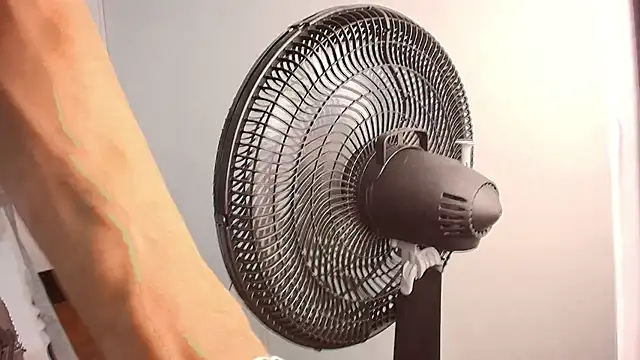 GimenaLyam online show from 12, 11, 2025