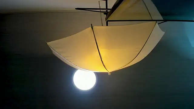 EvaLuxxe online show from 30, 11, 2025