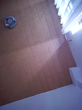 TirelessLot3 online show from 6, 3, 2026