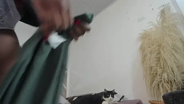 Camile Queen online show from 14, 11, 2025