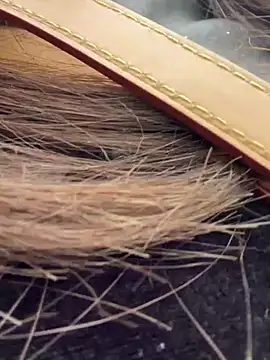 Cara-02 online show from 19, 11, 2025