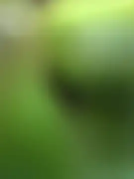 Lynly k2 online show from 13, 2, 2026