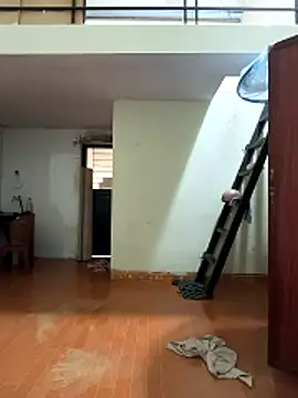 Lynly k2 online show from 11, 3, 2026