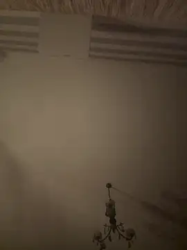 Dildapassivella online show from 13, 11, 2025