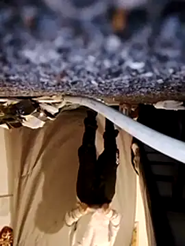 WeakDegree76 online show from 10, 1, 2026