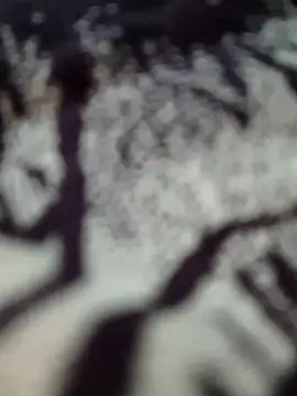 butterflydoll55sexolina online show from 17, 11, 2025