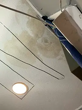 trickydickydaddy online show from 21, 2, 2026