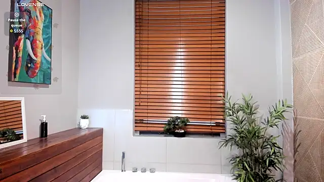 Noah dupont  online show from 11, 11, 2025