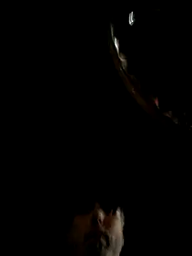 throbbbyxh online show from 22, 12, 2025