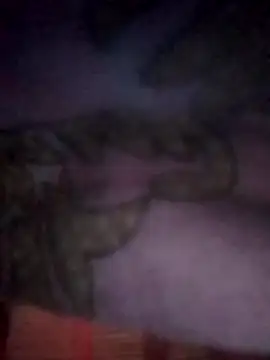 jacka 305 online show from 26, 11, 2025