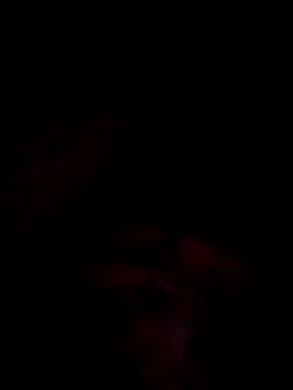 jacka 305 online show from 1, 12, 2025