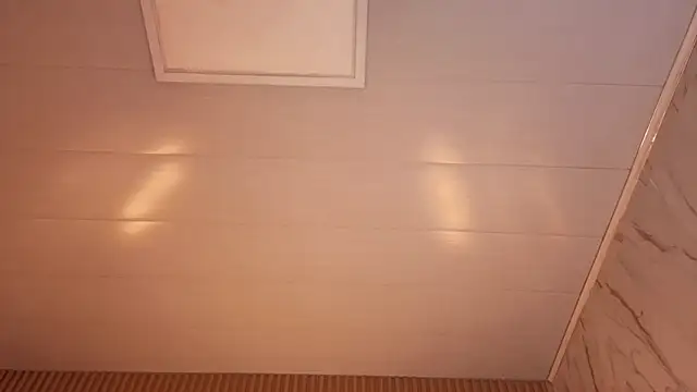 venus velvet tp online show from 5, 1, 2026