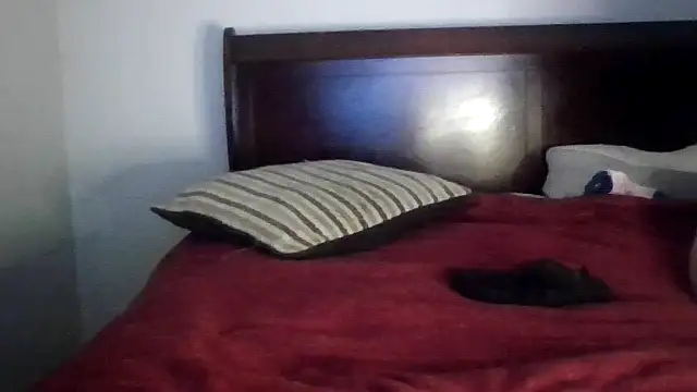 Dusaa  online show from 17, 12, 2025