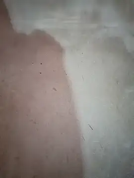 blonde blg online show from 20, 12, 2025