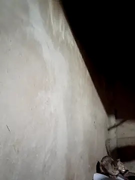 blonde blg online show from 17, 3, 2026