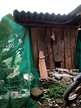 blonde blg online show from 26, 3, 2026