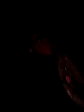 MonasticCanine online show from 19, 3, 2026