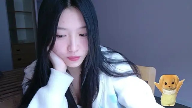 ZhaoZhaoDaWang online show from 27, 11, 2025