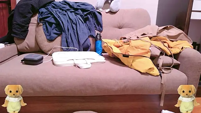 ZhaoZhaoDaWang online show from 14, 11, 2025