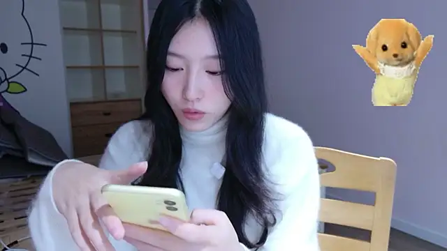 ZhaoZhaoDaWang online show from 28, 11, 2025