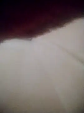 hassna04 online show from 7, 2, 2026