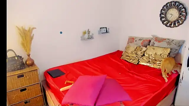 hotcassy online show from 10, 3, 2026