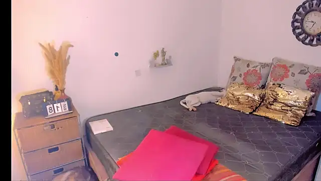 hotcassy online show from 26, 3, 2026