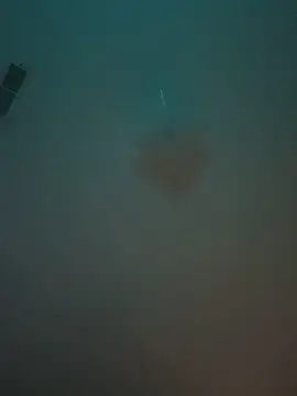 machineslut online show from 15, 6, 2026