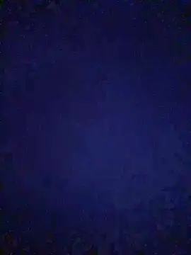 Dona Mafia online show from 14, 4, 2026