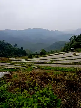 Cloud-wh online show from 14, 3, 2026