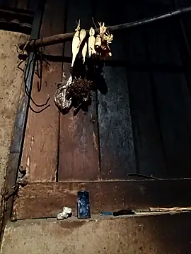 -Chua-90 online show from 13, 1, 2026