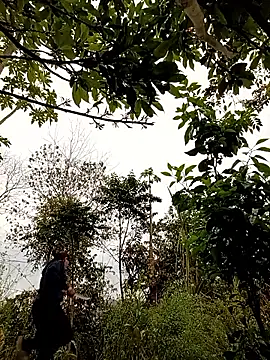 -Chua-90 online show from 25, 2, 2026