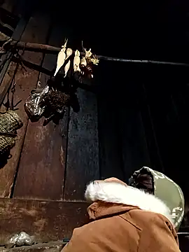 -Chua-90 online show from 9, 1, 2026