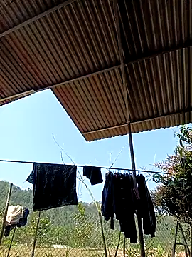 -Chua-90 online show from 1, 3, 2026