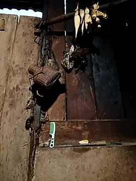 -Chua-90 online show from 9, 2, 2026