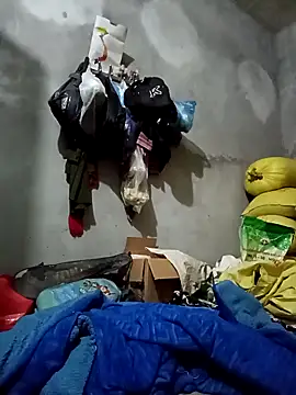 vangkt-cute online show from 27, 11, 2025