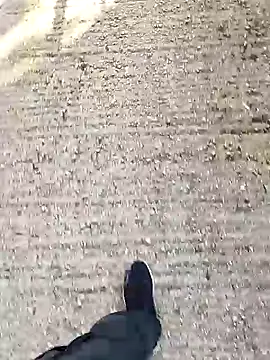 Unknown18cmxh online show from 18, 12, 2025