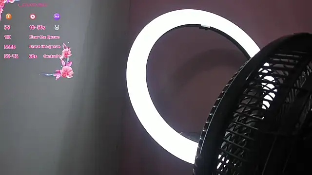 NaylaAbadi online show from 4, 12, 2025