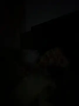 Lucasjandre online show from 26, 6, 2026