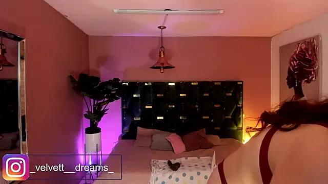 Snapshot of Velvet_Dreamss chatting on 16, 6, 2026 Velvet Dreamss online show from 16, 6, 2026