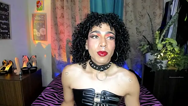 Angel White25 online show from 8, 5, 2026