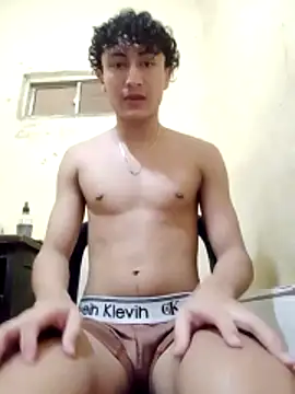 Novato o online show from 15, 3, 2026